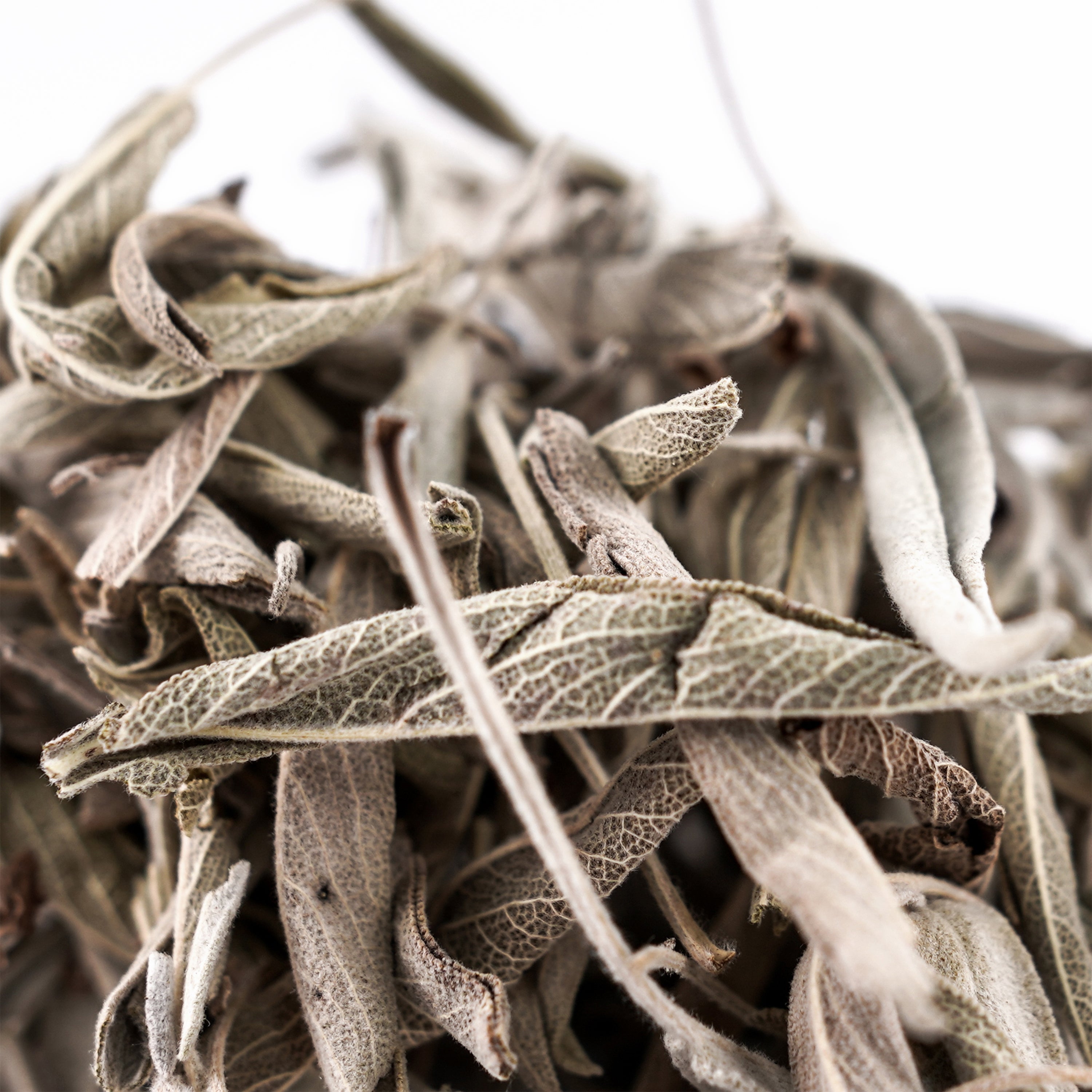 Sage Tea t'Malit- 45g - Gathered in Albania - Trojetona